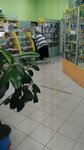 Tsitofarm (Bor, posyolok Neklyudovo, kvartal Druzhba, 12А), pharmacy