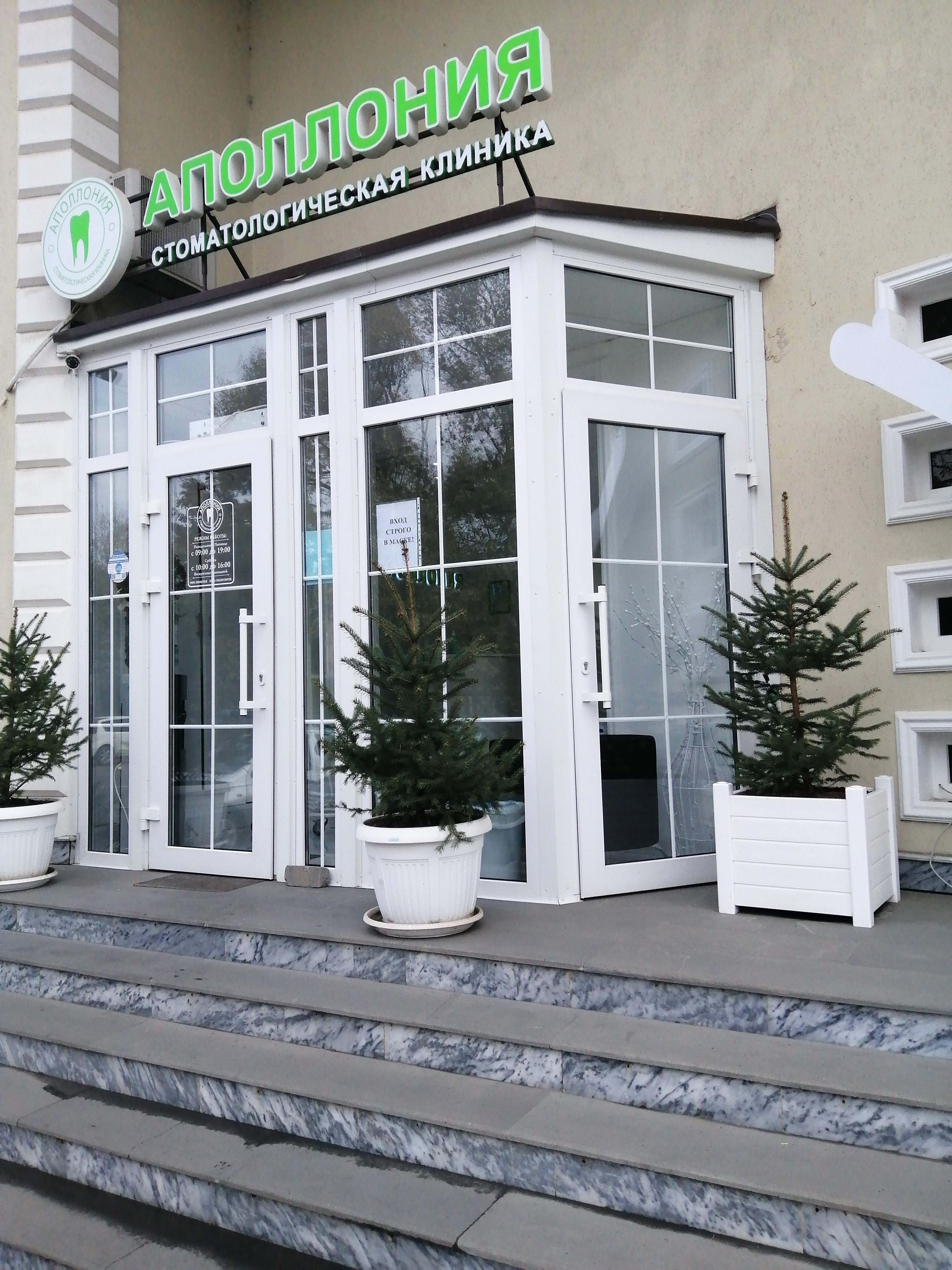 Аполлония ул мира 65 1 фото