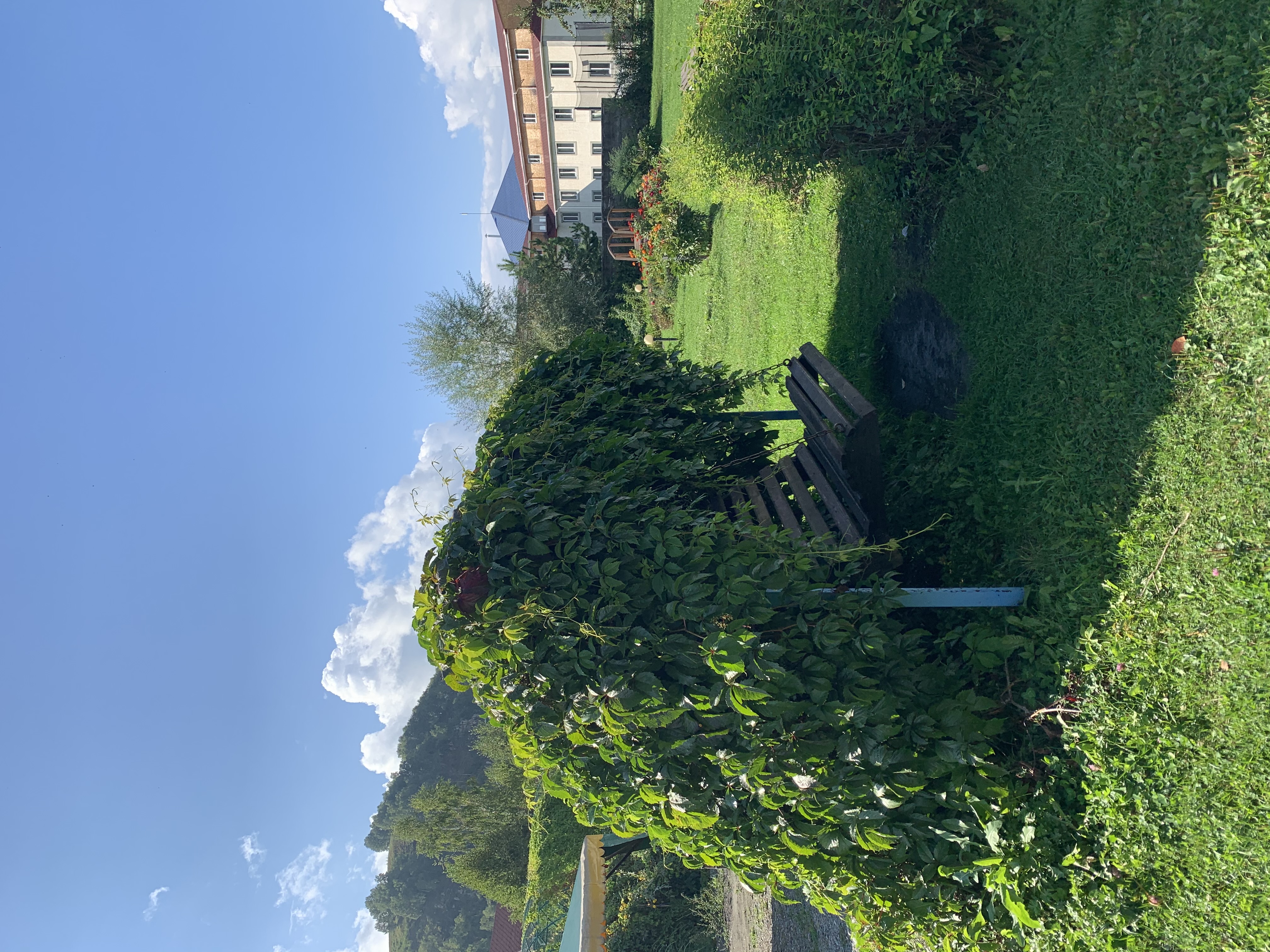 Фото На Радужном берегу