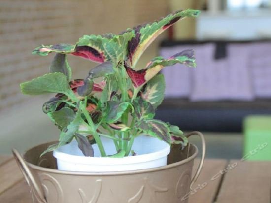 Фото The Entrance Backpackers - Hostel