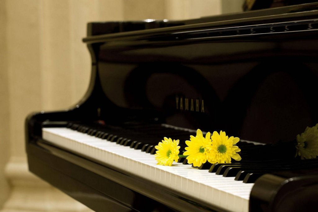 Фото Eldora Hotel