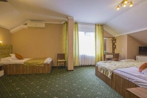 Гостиница Conacul Domnesc