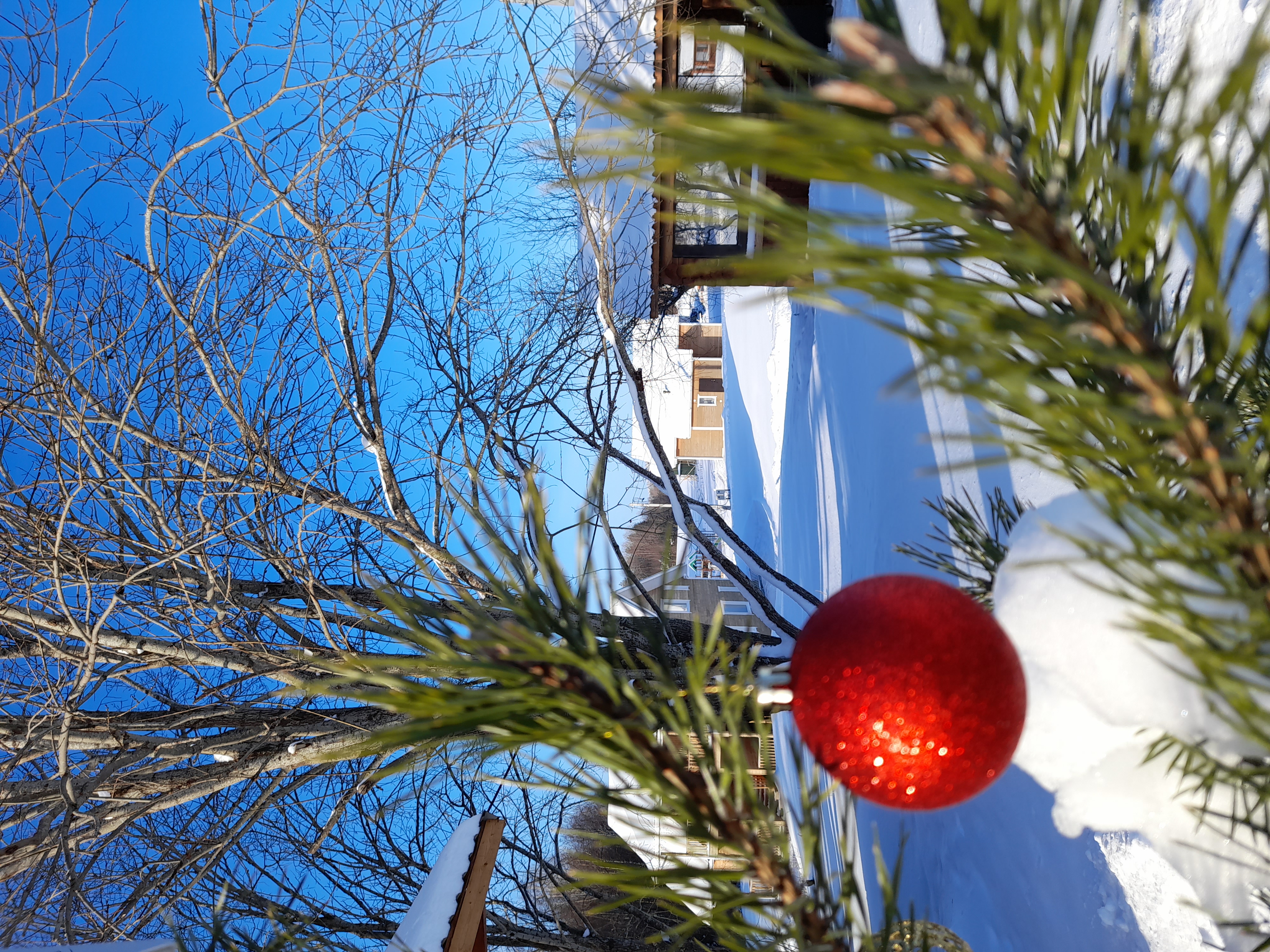 Фото Фазенда Глухомань