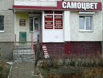Samotsvet (ulitsa Zakharova, 1), real estate agency