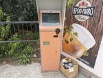 Payberry (улица Тараса Шевченко, 46), payment terminal