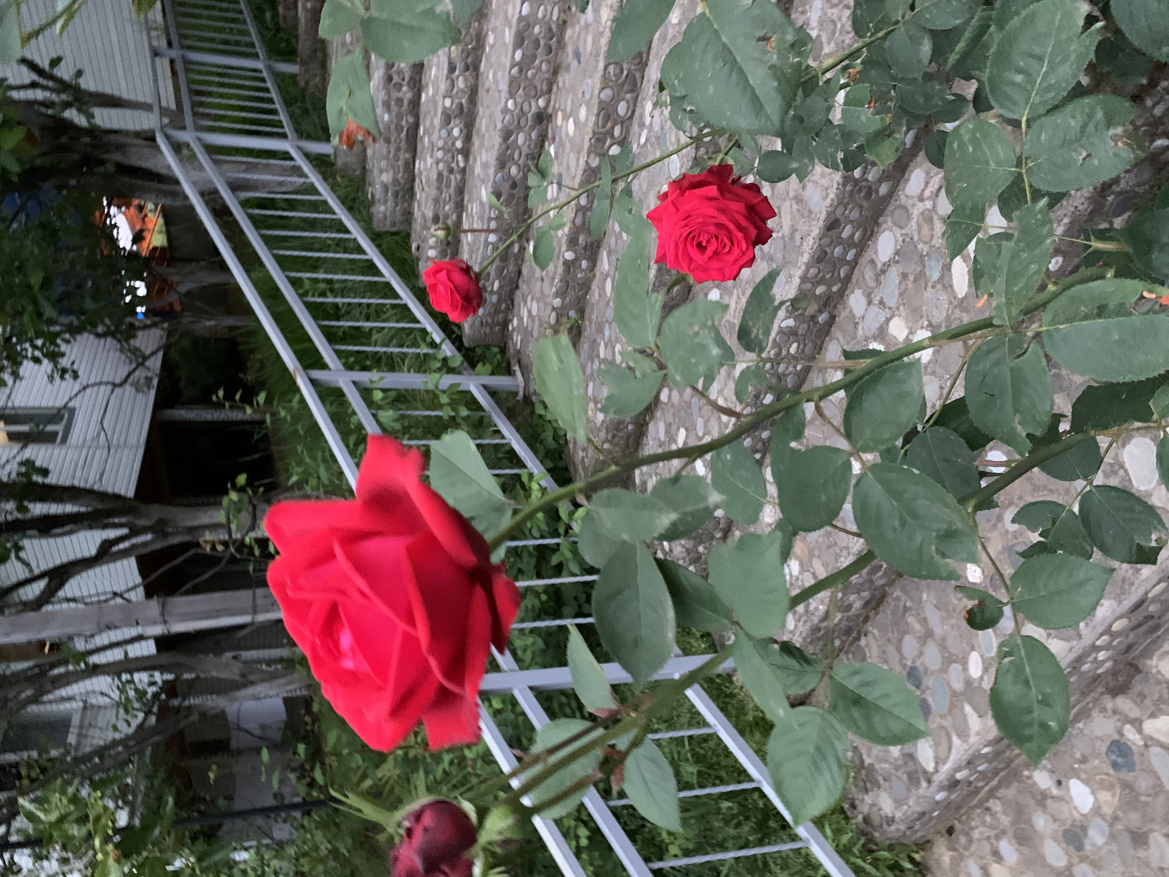 Фото Горный Эдем