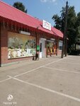 Берёзка (posyolok Molodyozhny, Podgornaya ulitsa, 3), grocery