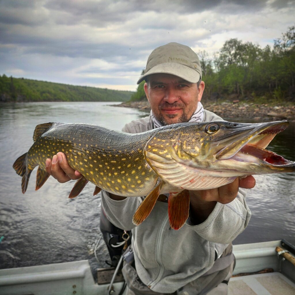 Online store office Fly-fishing Shop Flyfishalex.ru, Saint Petersburg, photo