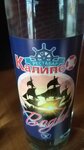 Kalipso (ulitsa Mayakovskogo, 9) ، مقهى