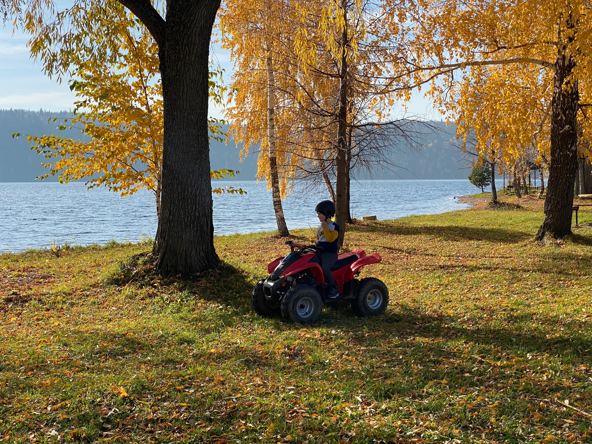 Фото Звездный