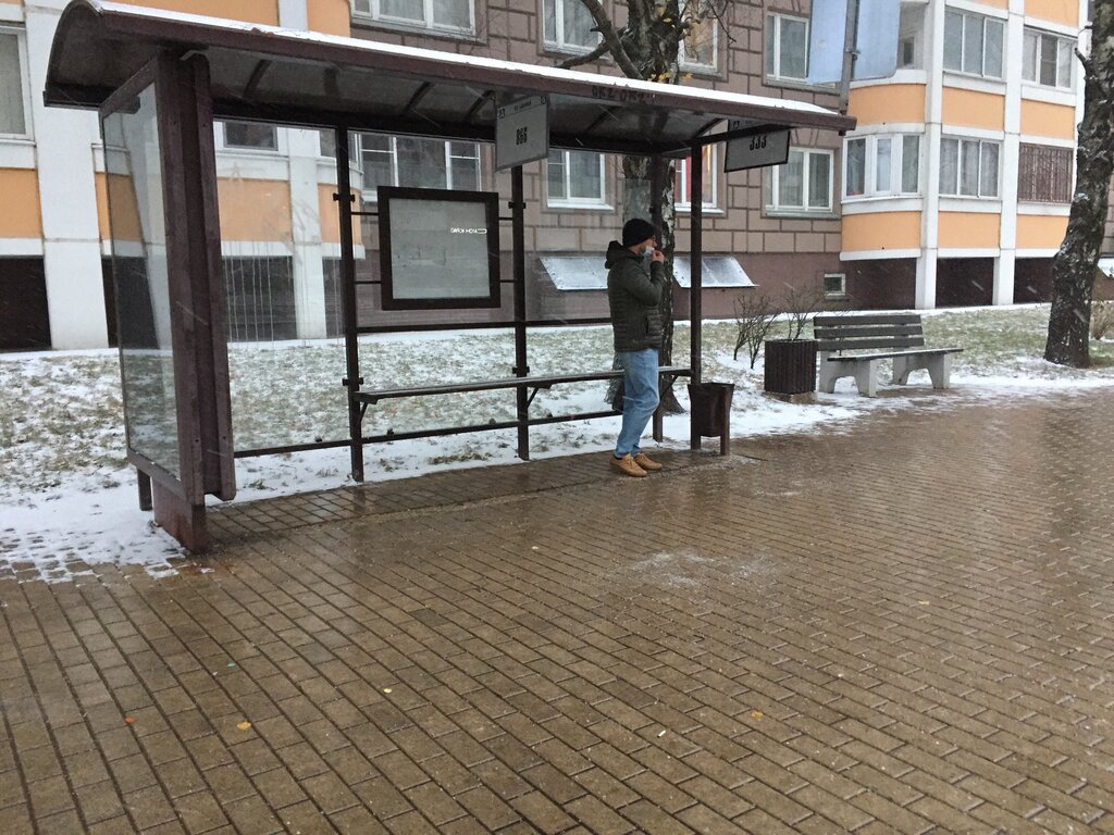 Public transport stop Ул Бианки, Moskovsky, photo