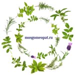 Mosgomeopat (Malaya Pochtovaya Street, 10), pharmacy