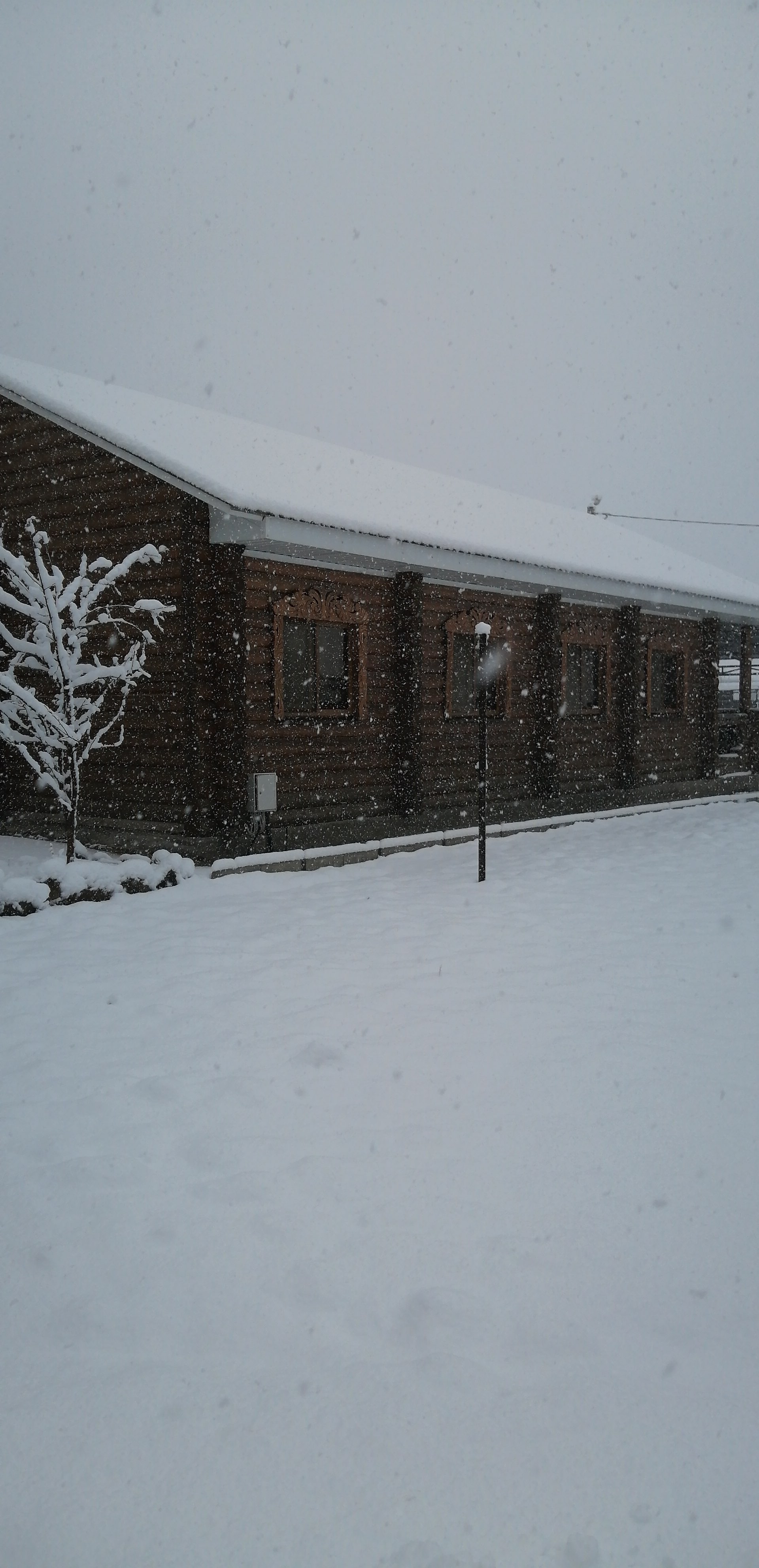 Фото Солнечная