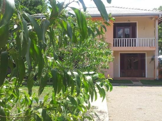 Фото The Elephant Village