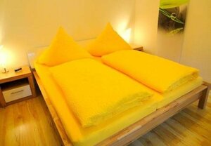 Ferienwohnung-ginkgo-ii-dresden (Dresden, Otto-Pilz-Straße, 78), hotel