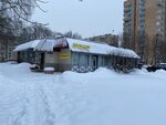 Минимаркет (Settlement of Zvyozdniy Gorodok, 27), grocery