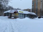 Авокадо (27, рабочий посёлок Звёздный городок), магазин продуктов в Москве и Московской области