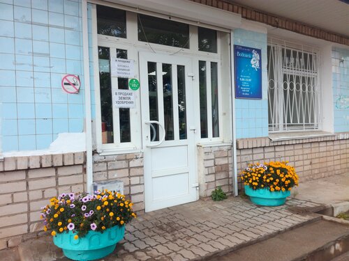 Мотор боровичи магазин