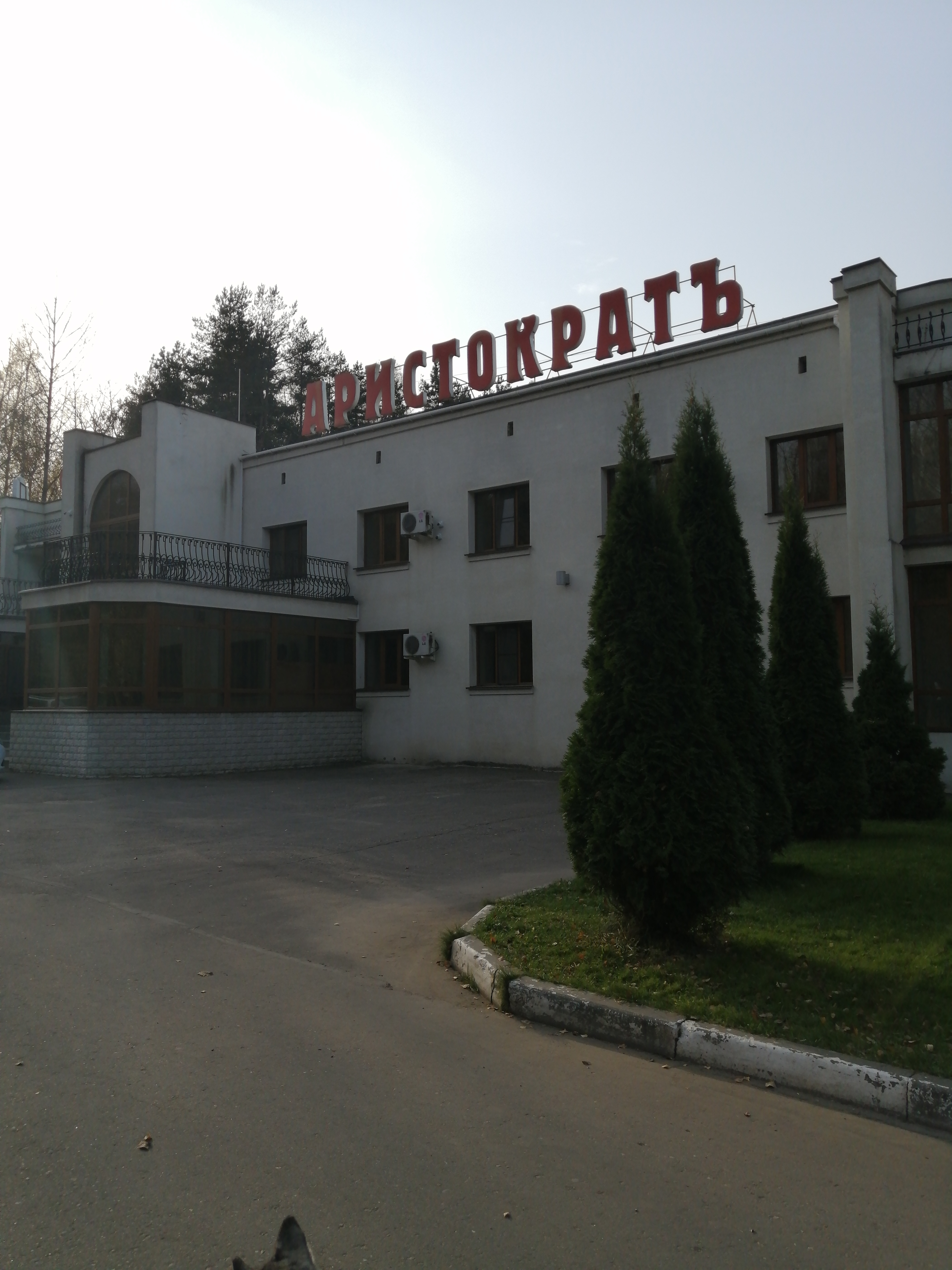 Фото Аристократ