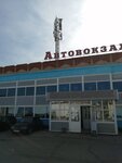 Bavly Bus Terminal (ulitsa Salikha Saydasheva, 1Б), bus station