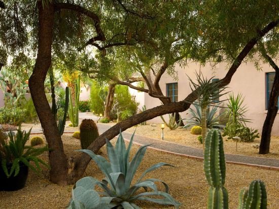 Фото Лодж он Десерт