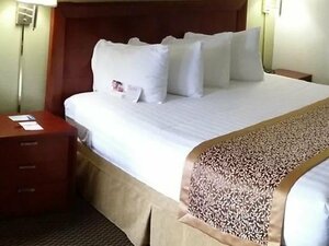 Гостиница Ramada by Wyndham Temple Terrace/Tampa North