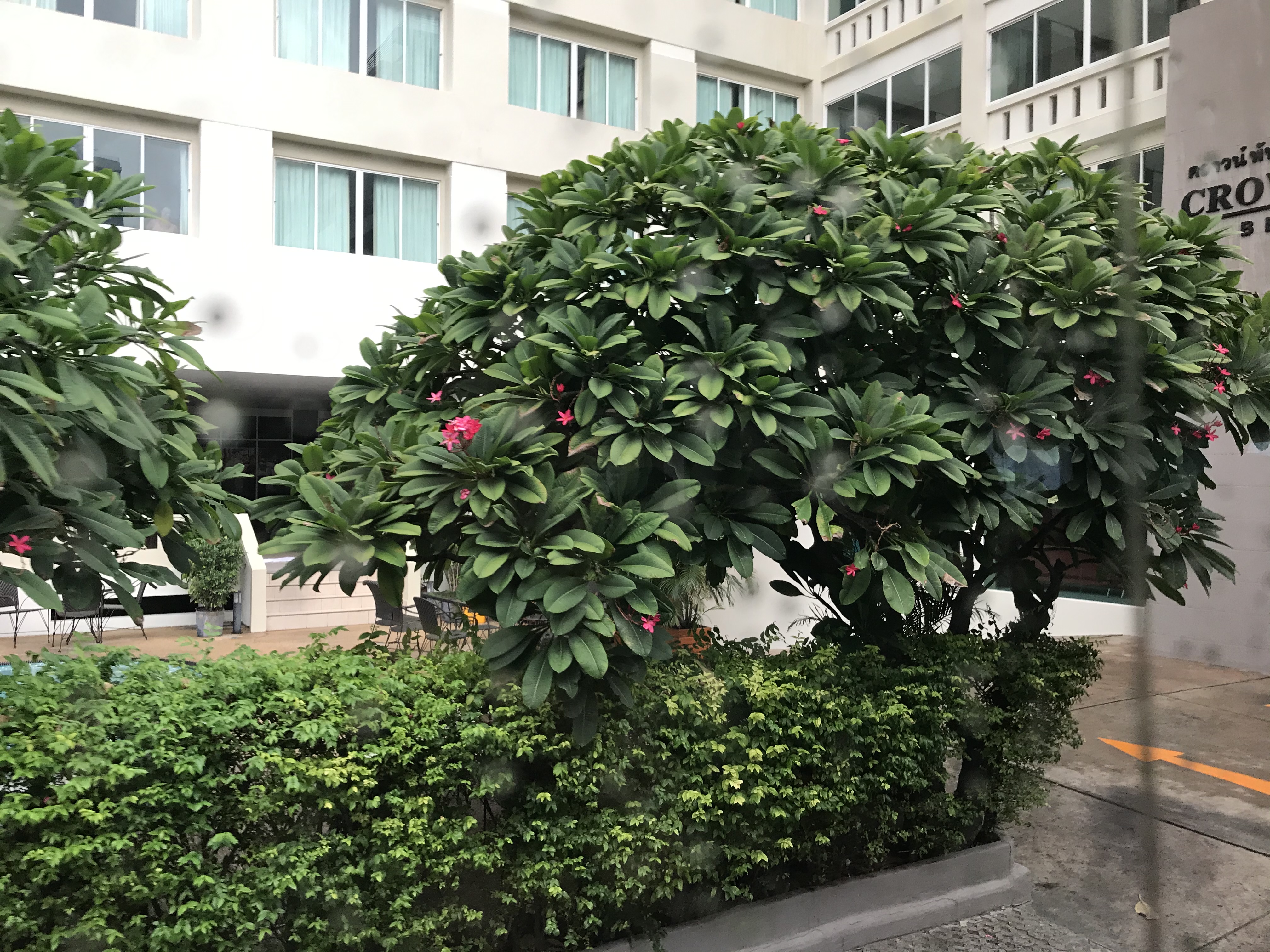 Фото Crown Pattaya Beach Hotel