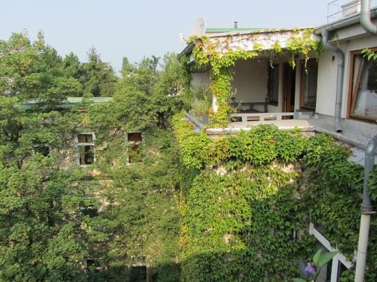 Фото Wiener Kindl