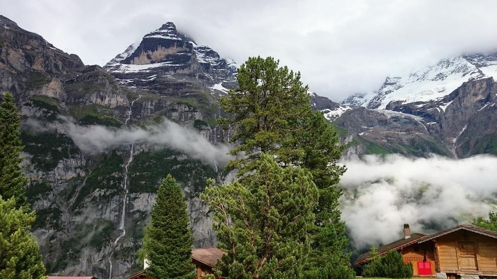 Фото Pension Gimmelwald