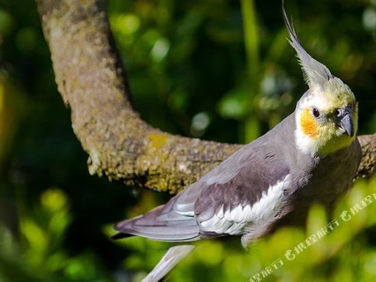 Фото Dormero Hotel Burghausen