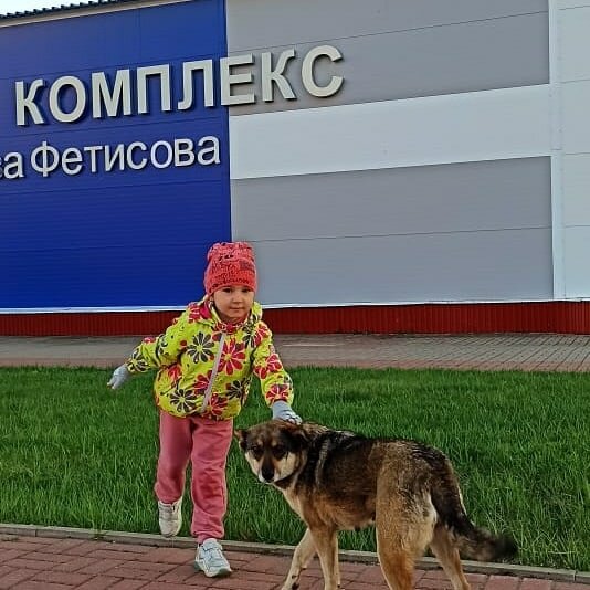 Sports center Ледовый дворец имени Вячеслава Фетисова, Bobrov, photo