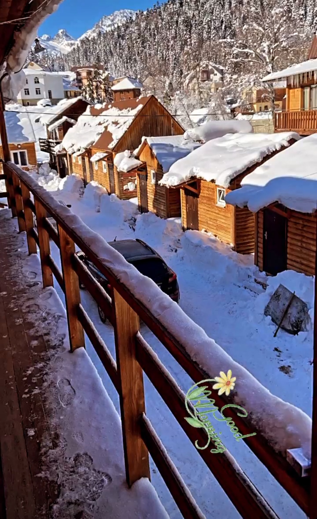 Фото Лесная Сказка