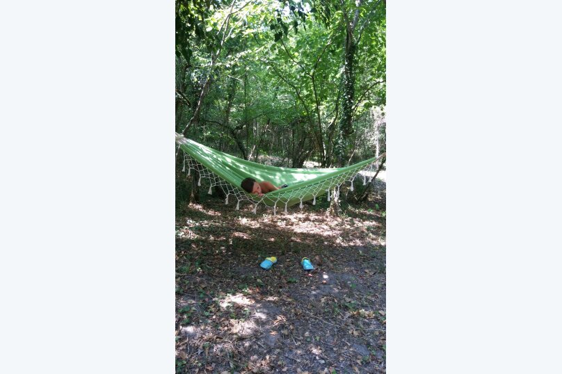 Фото Лесной домик Ель