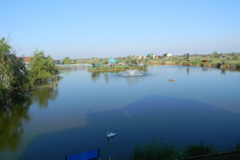 Фото Солнечный