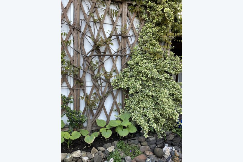 Фото Гостевой дом на Молодежной