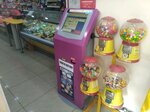PayBerry (улица Гоголя, 29), payment terminal