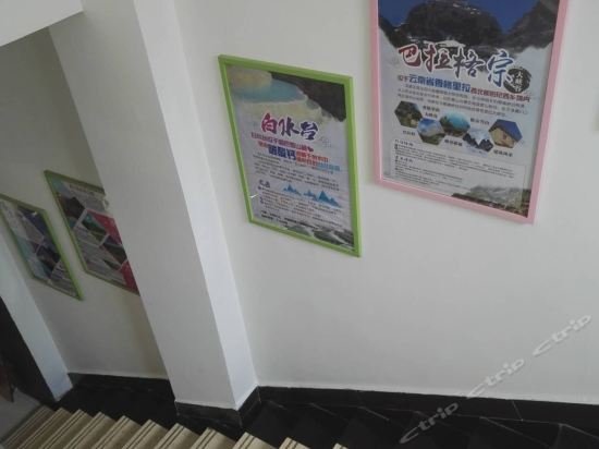 Фото 79994069267