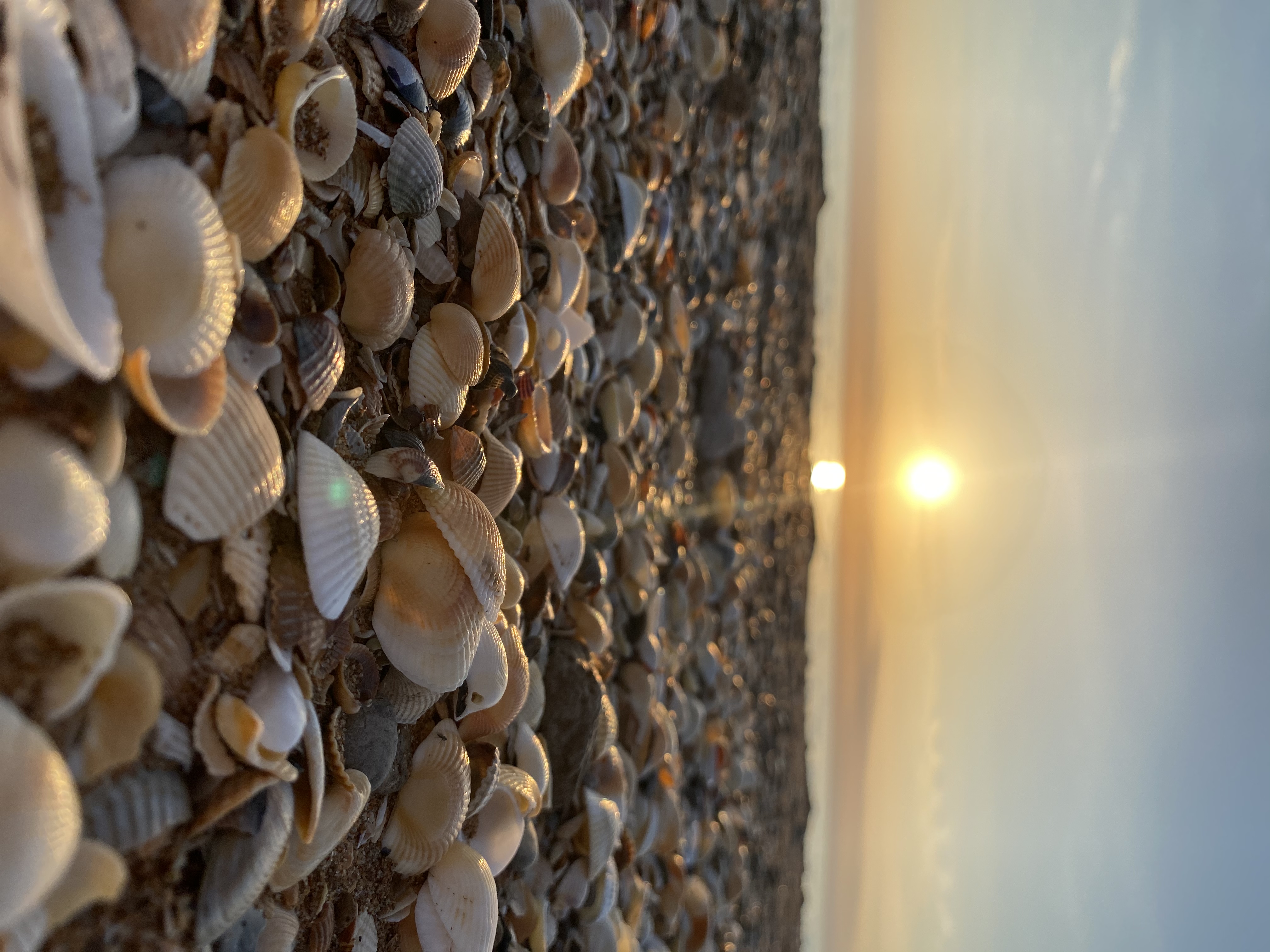 Фото VillaSunriseKerch