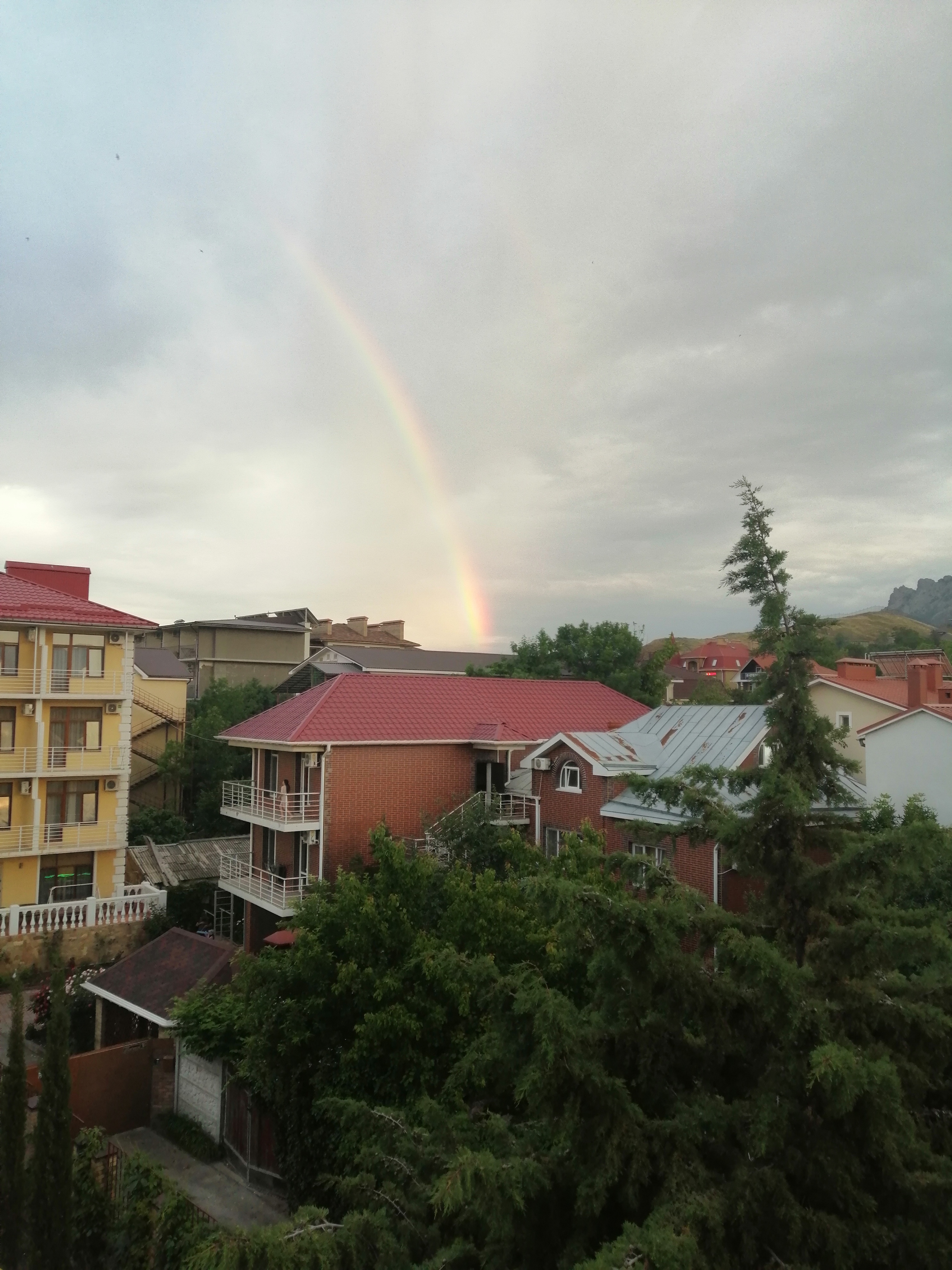 Фото Морской конек