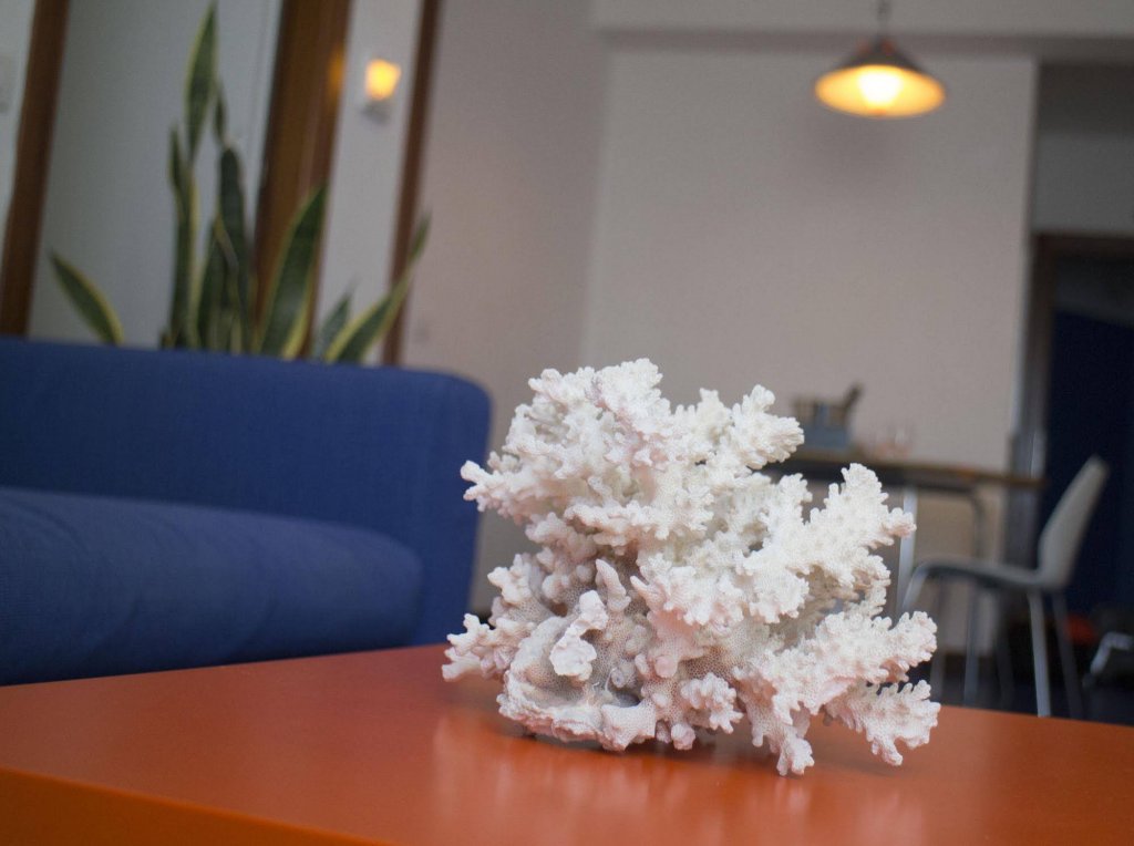 Фото Residence Adriatico