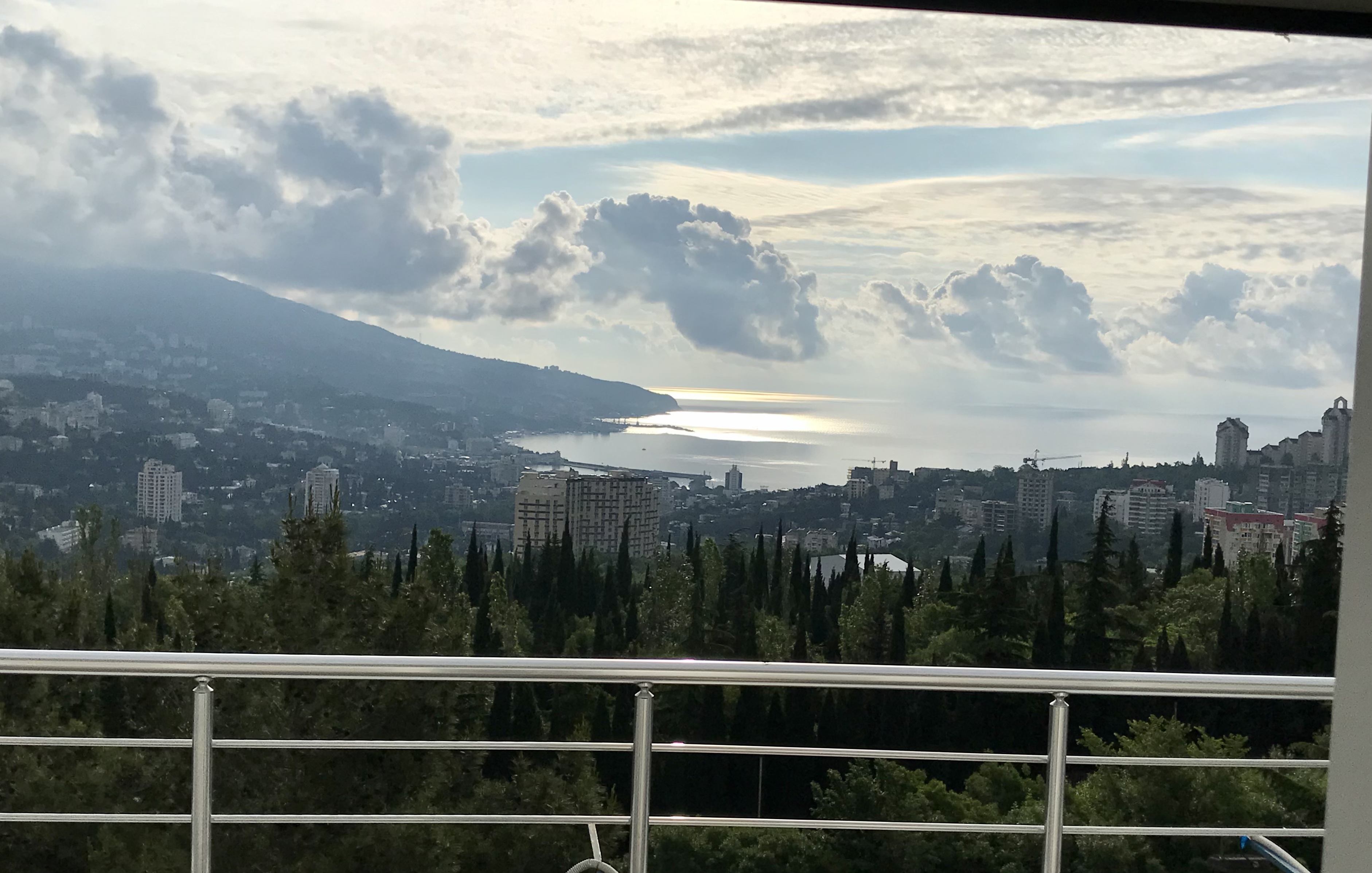 Фото Борода