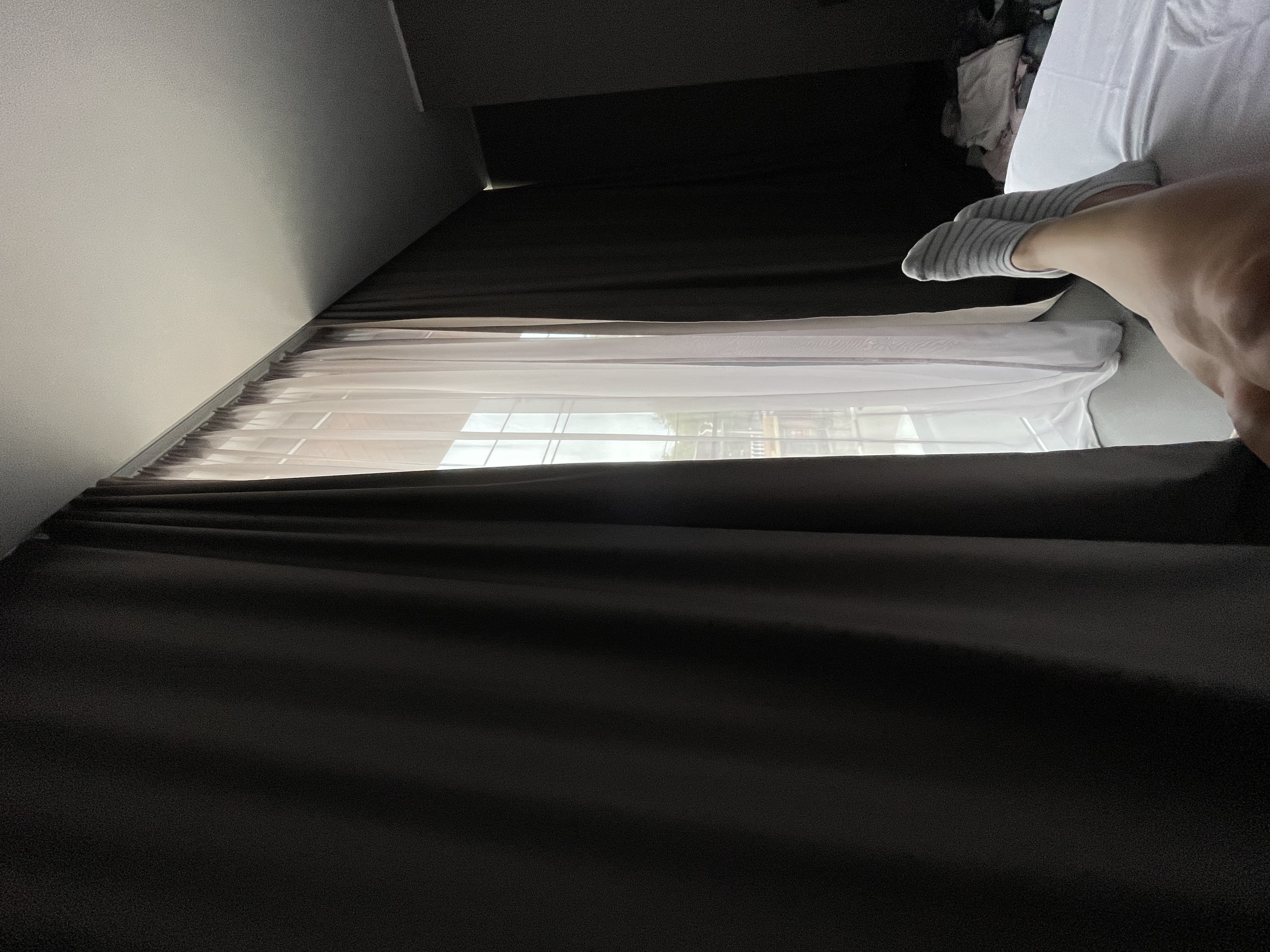 Фото Promenade Hotel