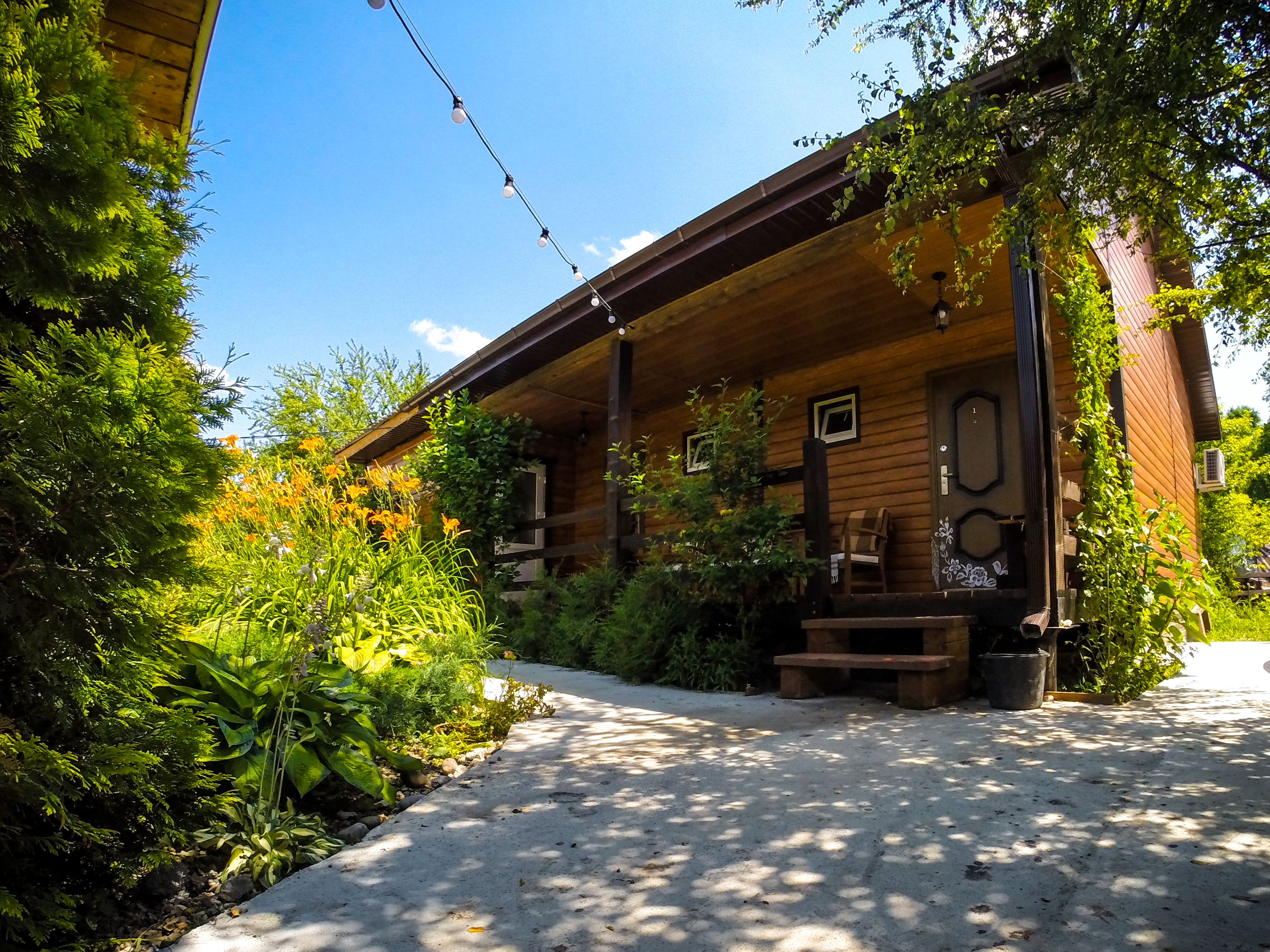 Фото Зелёный уголок