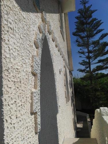 Фото Villa Belvedere