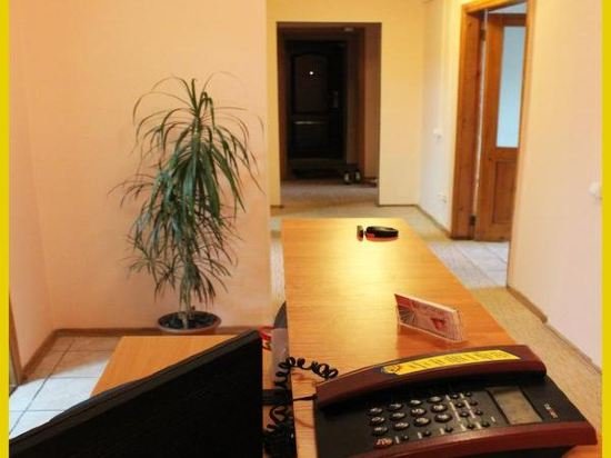 Фото Подсолнух