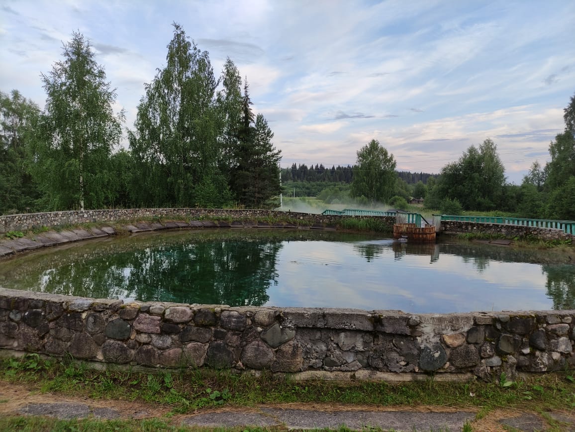 Фото Солониха