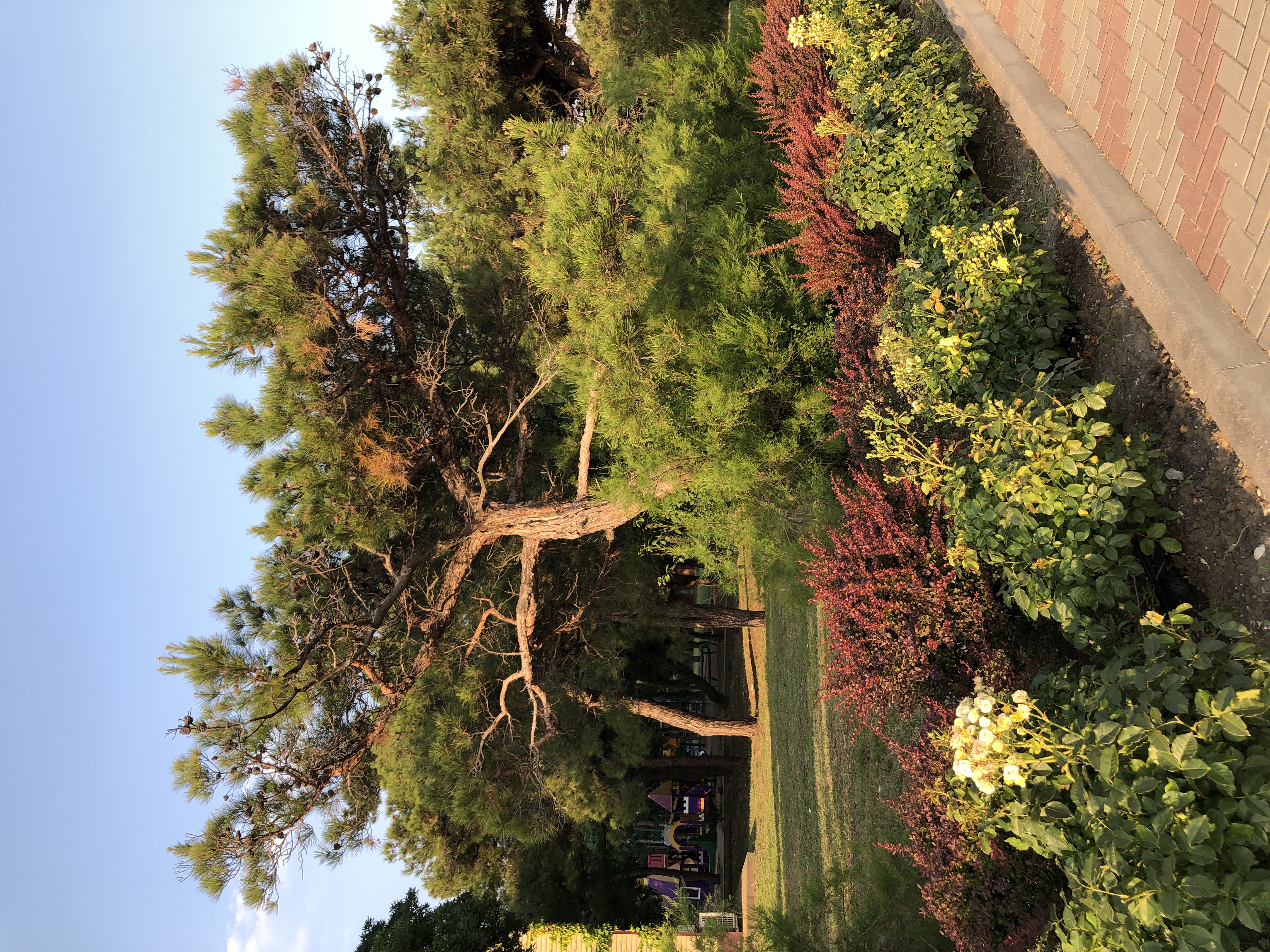 Фото Кабардинка