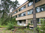 Особняк купцов Веденских (Moscow Region, Odintsovskiy Urban District, zakaznik Zvenigorodskaya biostantsiya MGU i karyer Sima), summer camp