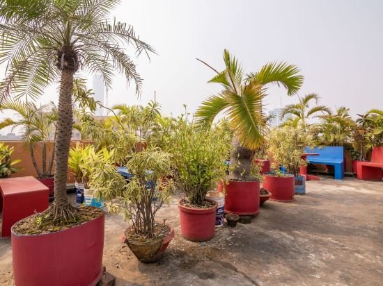 Фото Sunflower Guesthouse