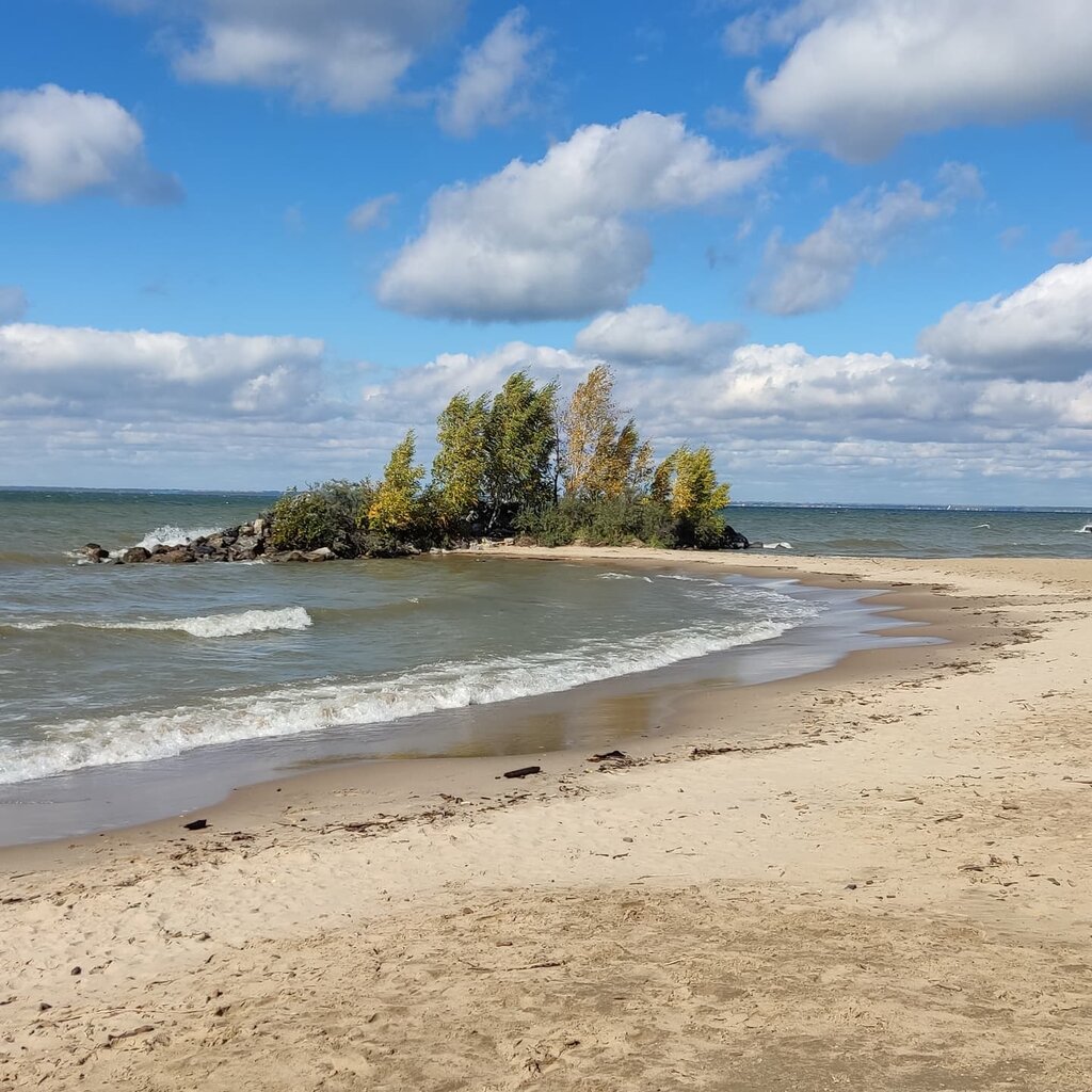 Бердск обское море